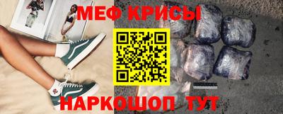 спайс Кингисепп