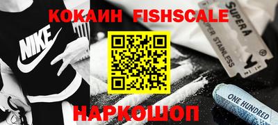 спайс Кингисепп