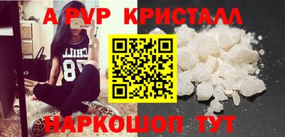спайс Кингисепп