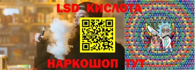 спайс Кингисепп