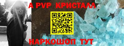 спайс Кингисепп