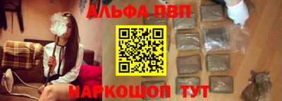 спайс Кингисепп
