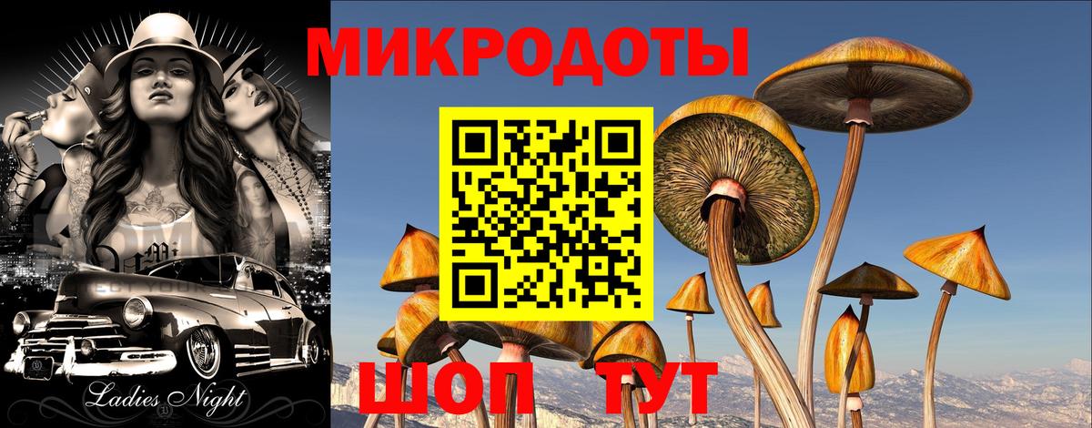 Галлюциногенные грибы MAGIC MUSHROOMS  Вход с VPN  Лениногорск  Галлюциногенные грибы Psilocybine cubensis 