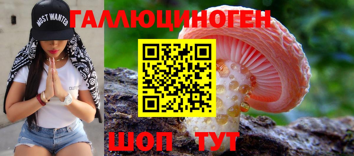 Псилоцибиновые грибы MAGIC MUSHROOMS Лениногорск